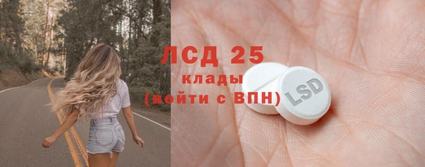 прущие грибы Алзамай