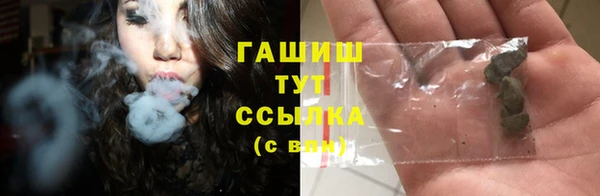 прущие грибы Алзамай