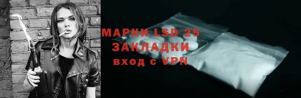 прущие грибы Алзамай