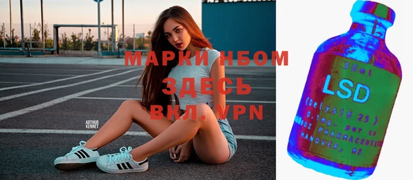 прущие грибы Алзамай